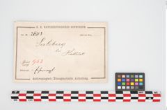 Etikett zu Eisenaxt (NHMW-PRAE-026513)